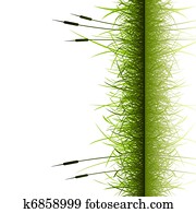 Grass Background Grass Background