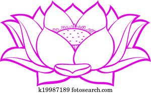 lotus flower lotus flower