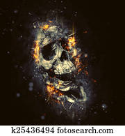 Skull in Flames Skull in Flames