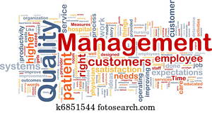 ניהול של איכות, רקע, מושג