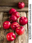 Apples Apples