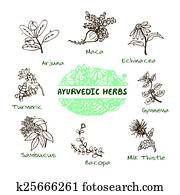 Ayurvedic herbs collection