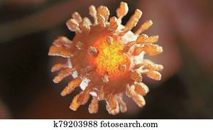 Image of Flu COVID-19 virus cell under the microscope on the blood. Coronavirus Covid-19 outbreak influenza background. Pandemic medical health risk concept with disease cell as a 3D illustration Image of Flu COVID-19 virus cell under the microscope on the blood. Coronavirus Covid-19 outbreak influenza background. Pandemic medical health risk concept with disease cell as a 3D illustration