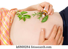Pregnancy Pregnancy