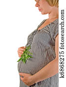 Pregnancy Pregnancy