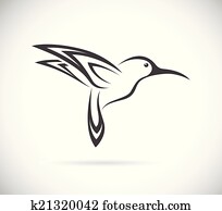 vetorial, imagem, de, um, hummingbird, desenho