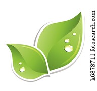 Green leaf with water droplets. Vector Green leaf with water droplets. Vector