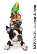 Group Of Pets
