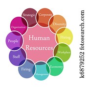 Human Resources illustration Human Resources illustration