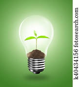 Light Bulb with sprout inside Light Bulb with sprout inside