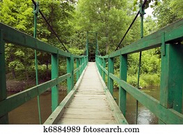 Green monkey bridge in the forest