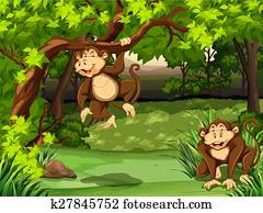 Monkeys Monkeys