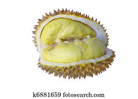 Prickly fruit or durian from Thailand