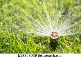 sprinkler sprinkler