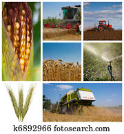 agricultura, montagem