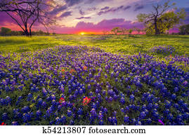 Sunrise in the Texas Hill Country Sunrise in the Texas Hill Country