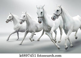 White horses White horses