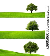 Green nature Green nature