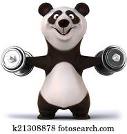 Panda Panda