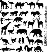 בעלי חיים, אוסף