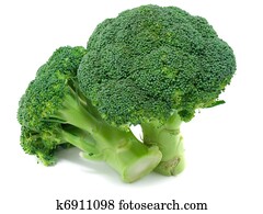 broccoli broccoli