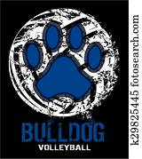 buldogue, voleibol