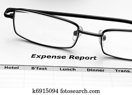 Expense report