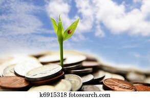 new growth from coins - financial concept