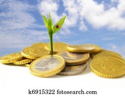 new growth from Euro coins - financial concept
