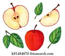 Red apple, half with seeds and leaves collection isolated on white background