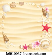 Seashell background Seashell background