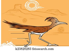Desert Roadrunner Desert Roadrunner
