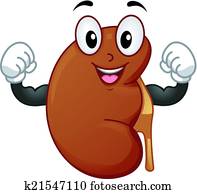 gesund, niere, maskottchen gesund, niere, maskottchen