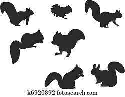 Squirrel silhouette Squirrel silhouette
