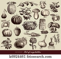 vetorial, jogo, de, legumes