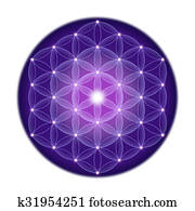 Bright Flower of Life With Stars Bright Flower of Life With Stars