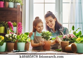 família feliz, em, primavera, day.