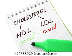 Paper  with words  hdl, ldl and cho