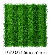 דשא ירוק, מדשאה, כדורגל, field., מציאותי, טקסטורה