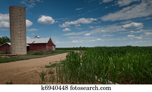 cornfield, e, celeiro