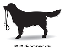 dog dog