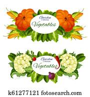 Natural vegetables and grocery products vector Natural vegetables and grocery products vector
