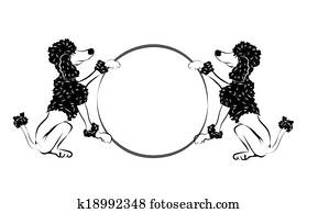 poodle poodle