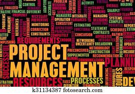 Project Management Project Management