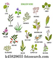 demulcent, herbs., העבר, צייר, קבע