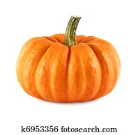 Neat pumpkin on white