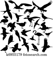 pássaros, silhuetas