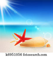 Shells and starfishes on the beach Shells and starfishes on the beach
