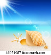 Shells and starfishes on the beach Shells and starfishes on the beach