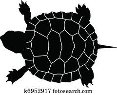 tartaruga, -, vetorial